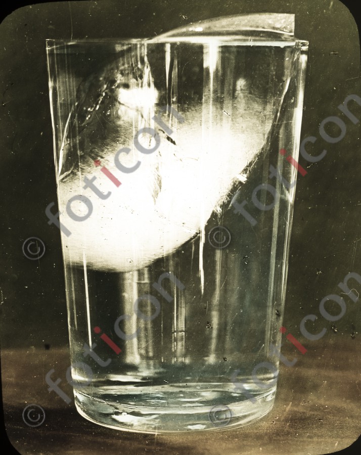 Eis im Wasserglas | Ice in a glass of water - Foto simon-titanic-196-023-fb.jpg | foticon.de - Bilddatenbank für Motive aus Geschichte und Kultur